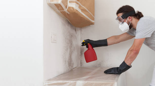 Professional Mold Removal technician working in Conklin, MI